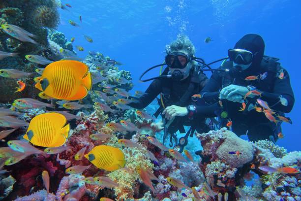 plongée sous marine